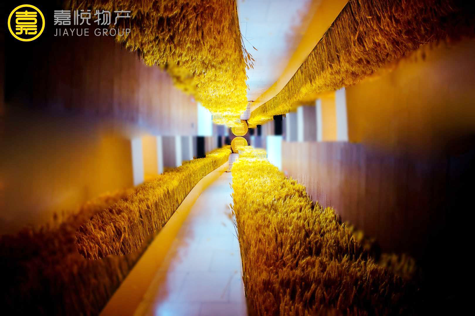 麦穗.png 麦穗.png