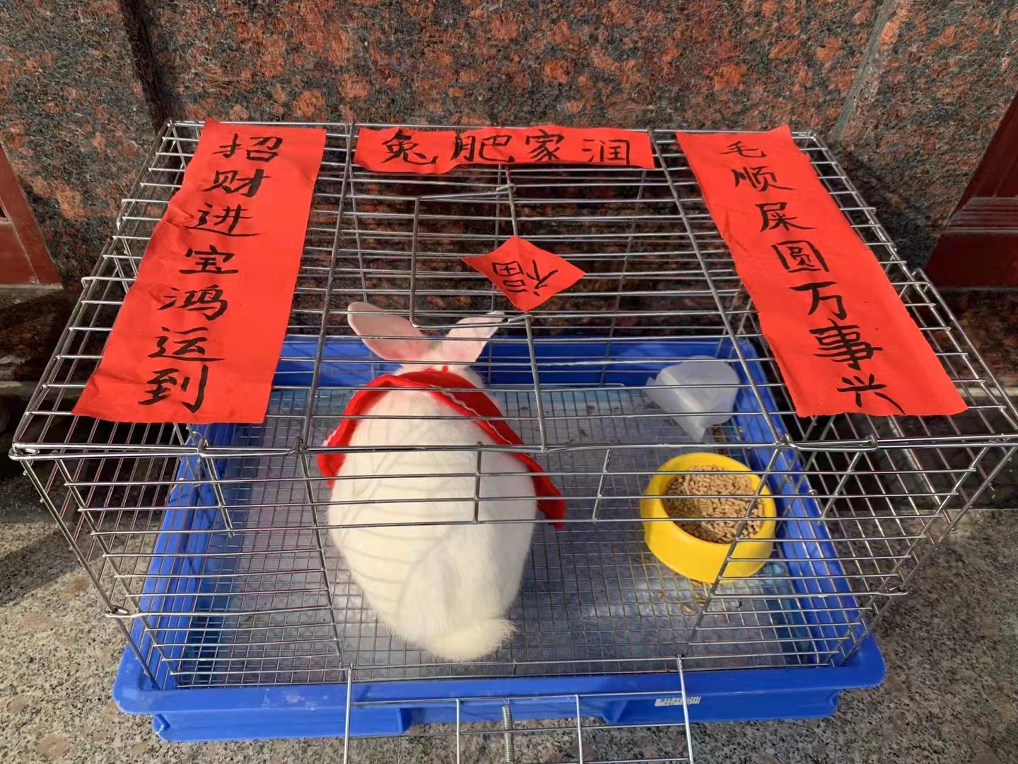 С�ù����� ��ǰӢ.jpg